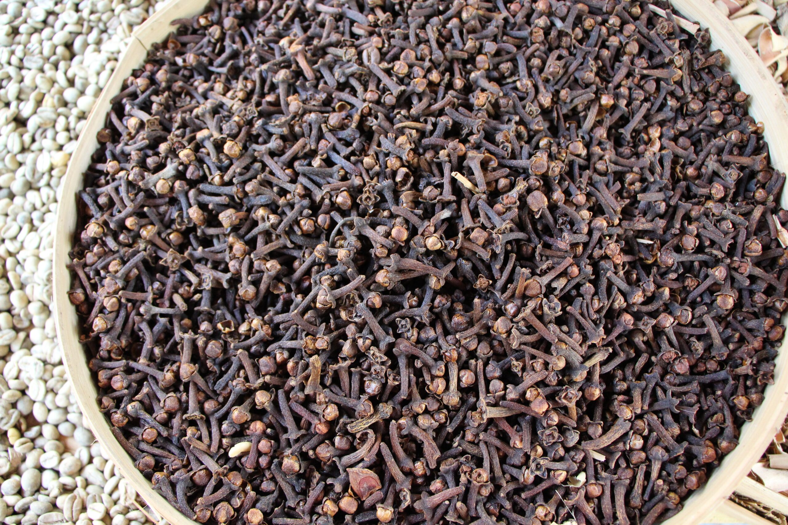 Cloves โ contain high levels of caryophyllene
